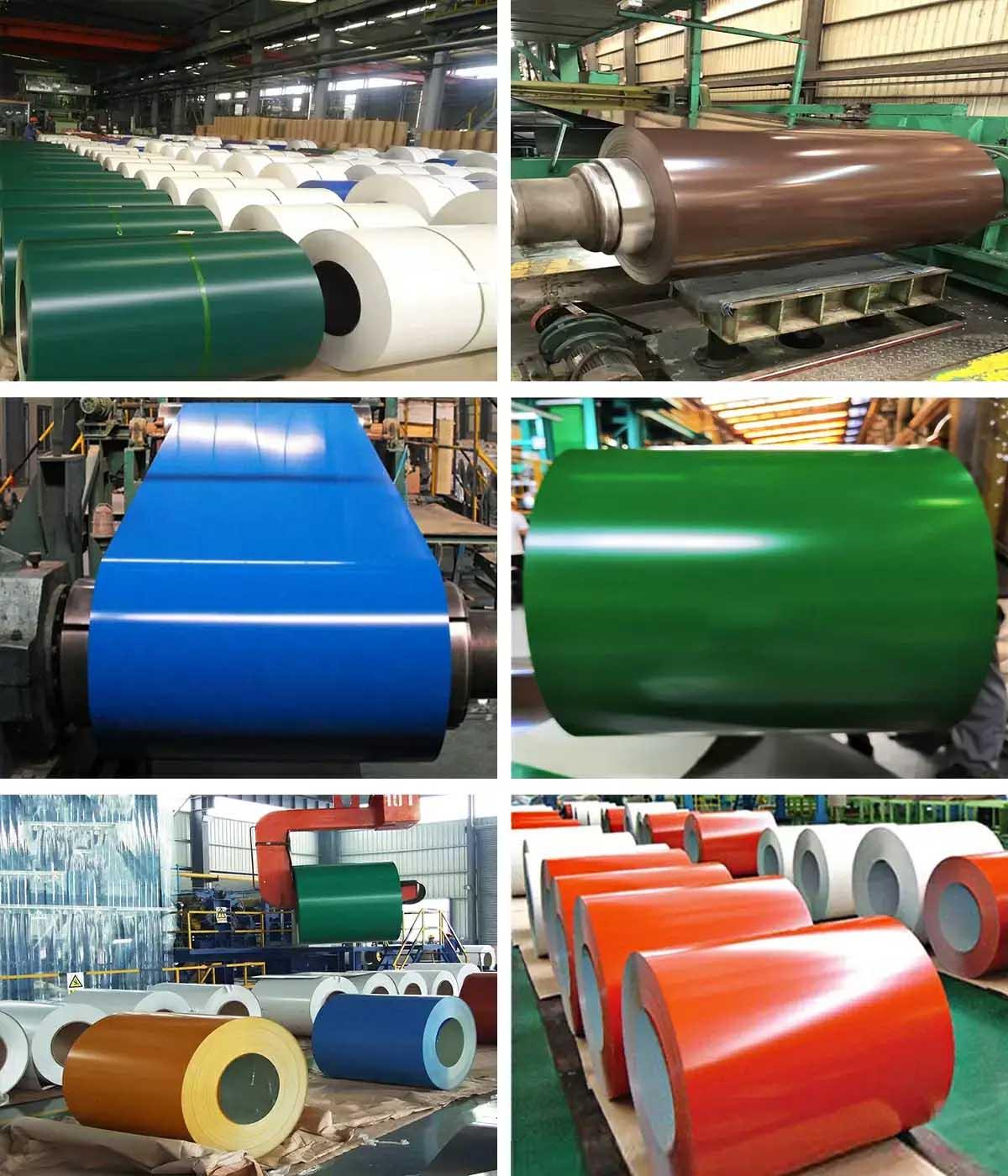 SGCC Dx51d Color Coated Roll PPGI Coil